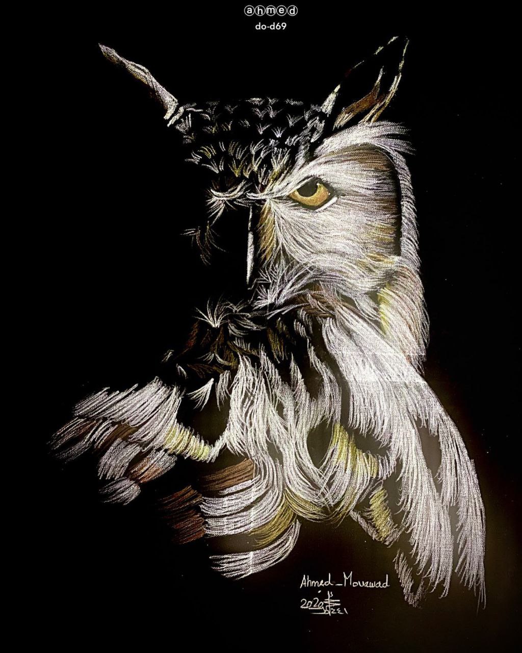 photo_5204073441928541844_y