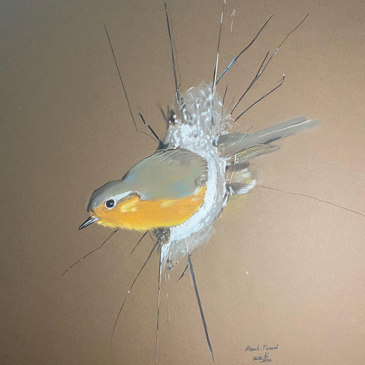 photo_5204073441928541847_y