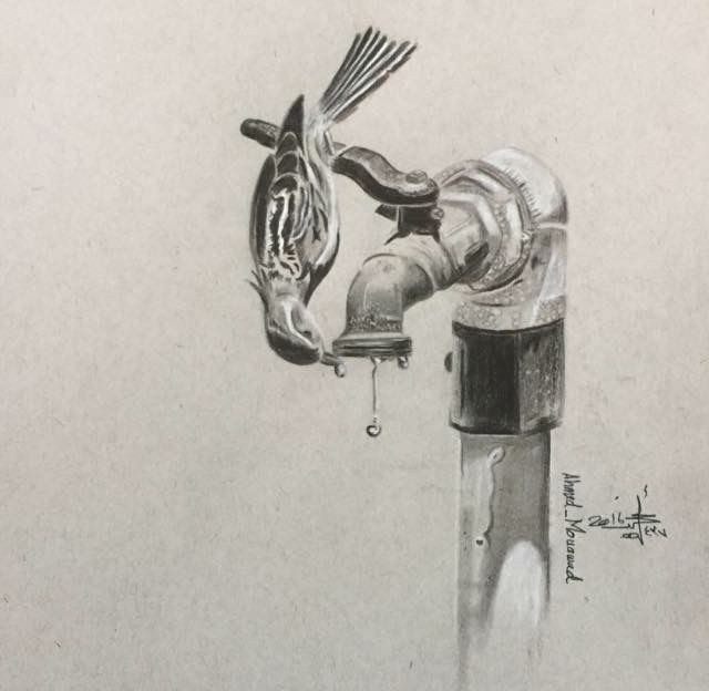 photo_5310105064796454178_x