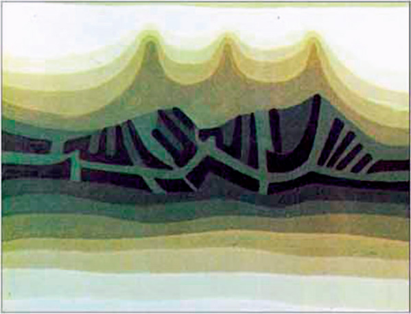 sg8_989505373
