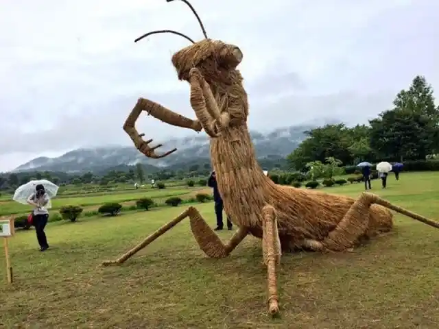 1665673938-384_Annual-festival-of-straw-sculptures-Wara-Art-Festival-in-Japan11