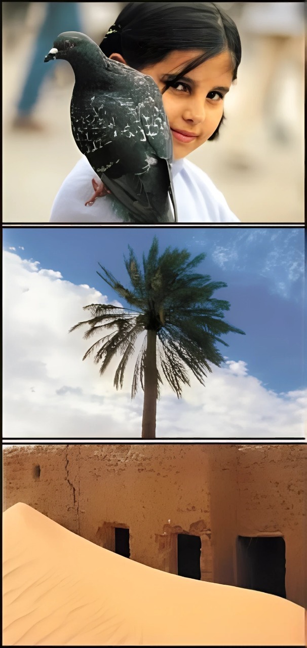 DeWatermark.ai_1756506715750