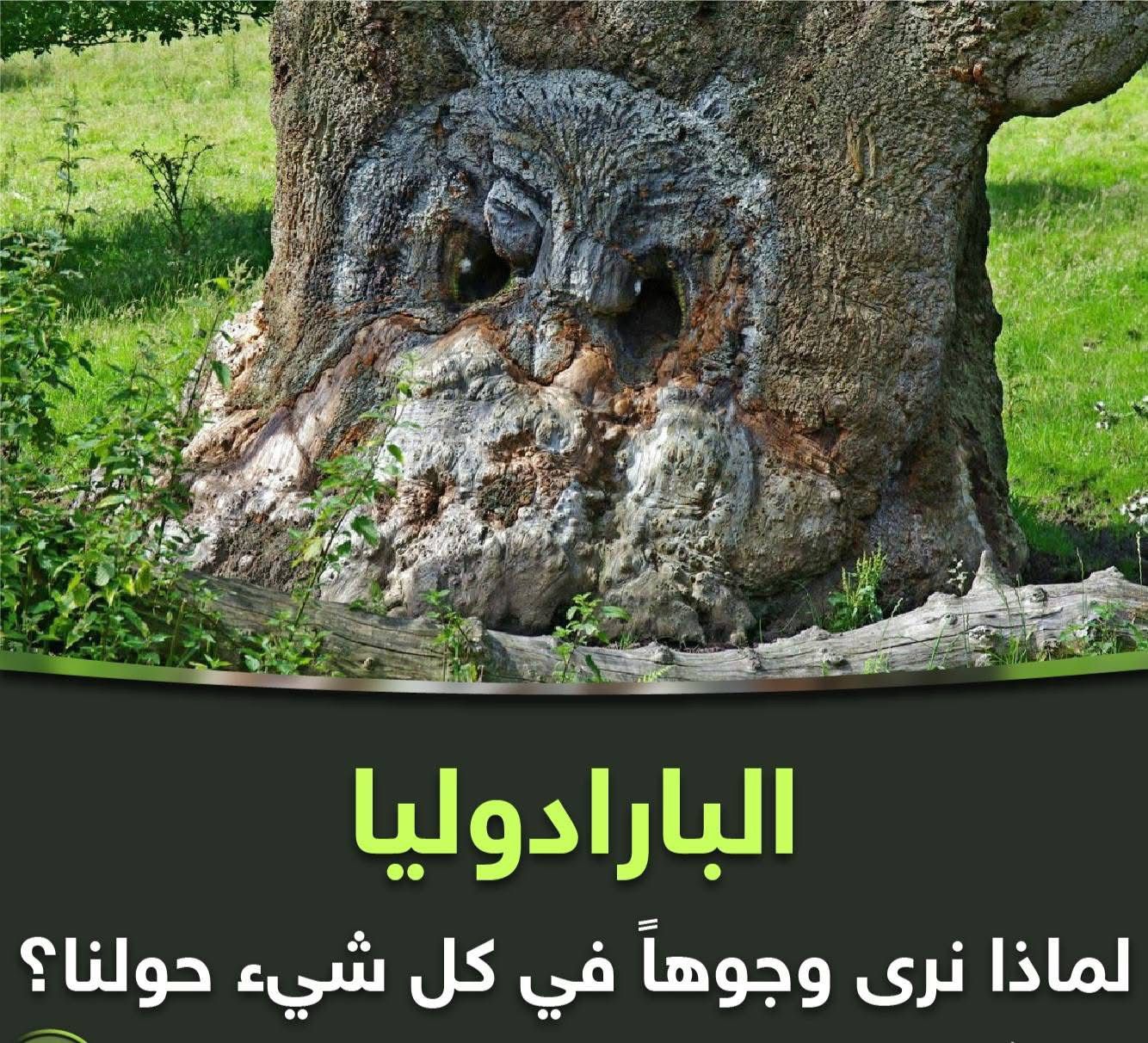 (Pareidolia) إيهام الخيالات المرئية