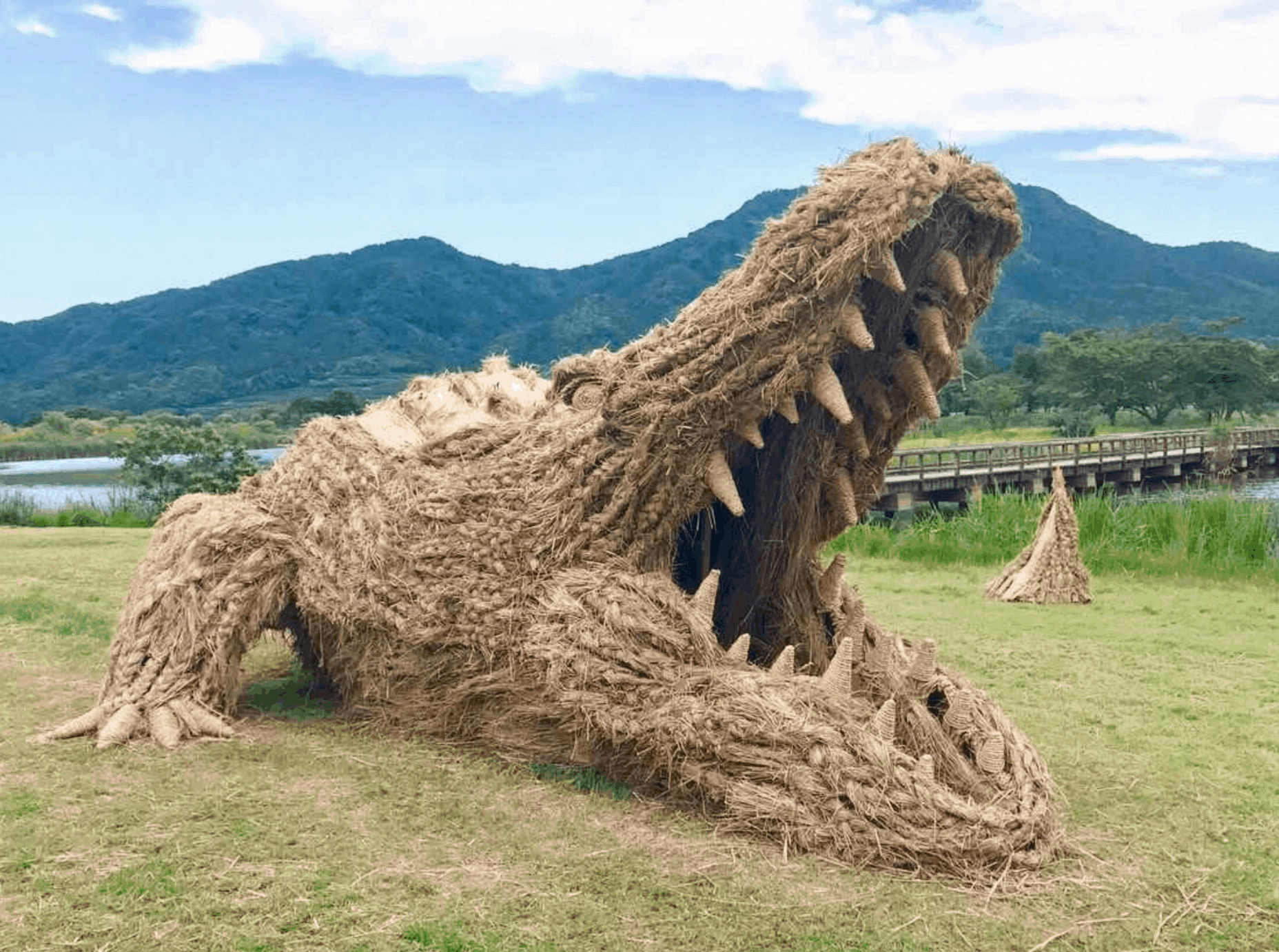 Wara-Art-Festival-Crocodile-Photo-by-Warashibe-Festival-e1589365685890