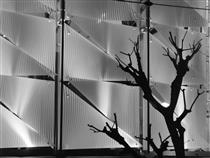 from-the-serie-japan-2010.jpg!PinterestSmall