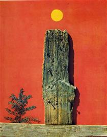 red-forest-1970.jpg!PinterestSmall