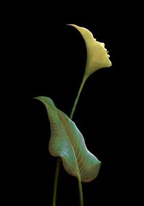 sunlights-kiss.jpg!PinterestSmall