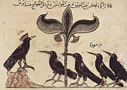 كليلة ودمنة 2