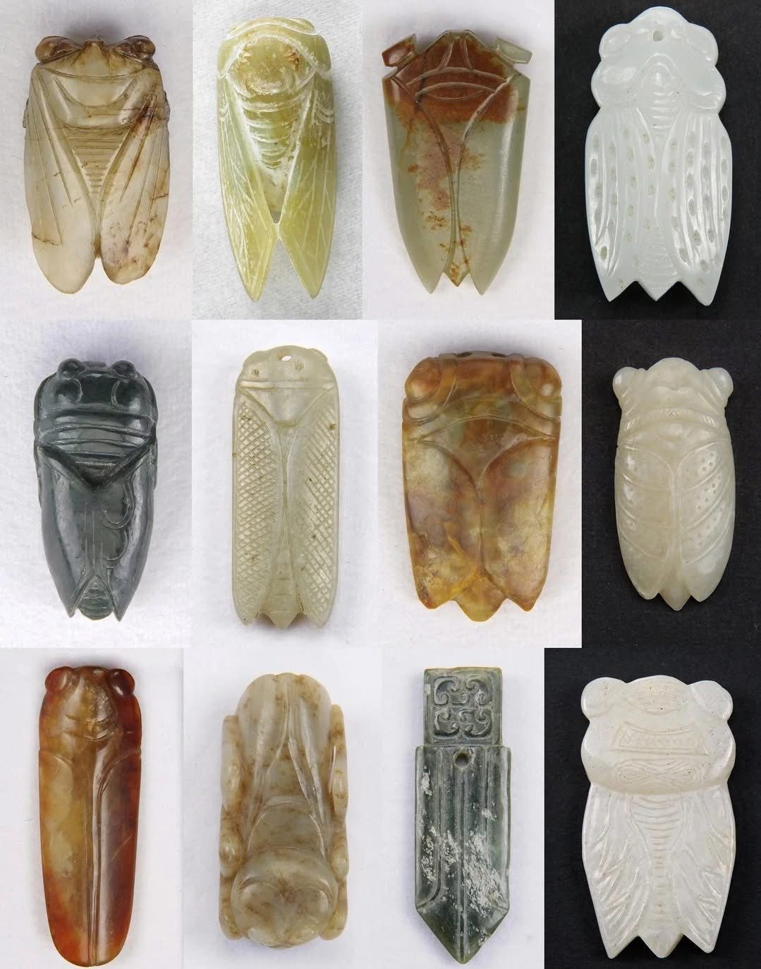 اليعسوب أو “الزيز” (cicada)