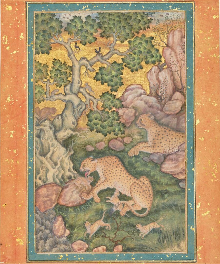 عائلة الفهود