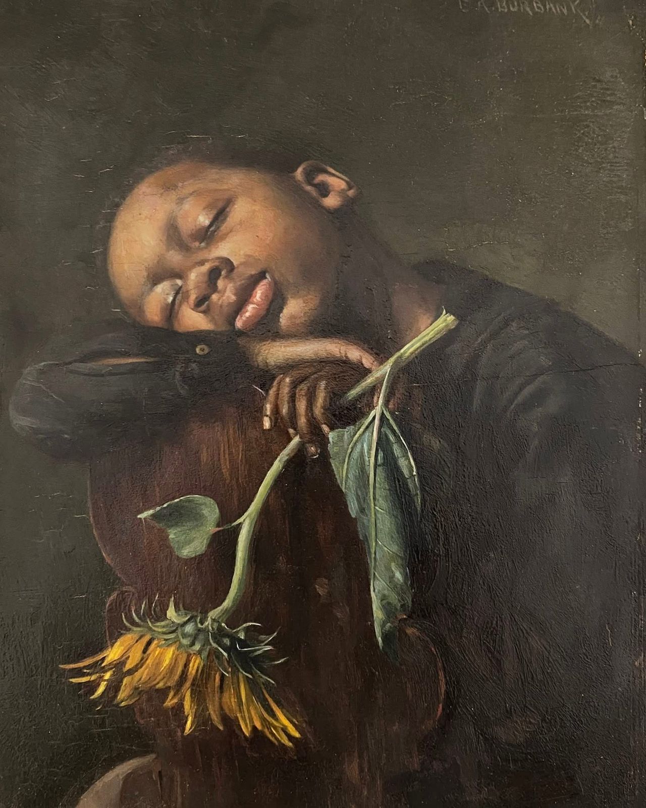 زهرة عباد الشمس