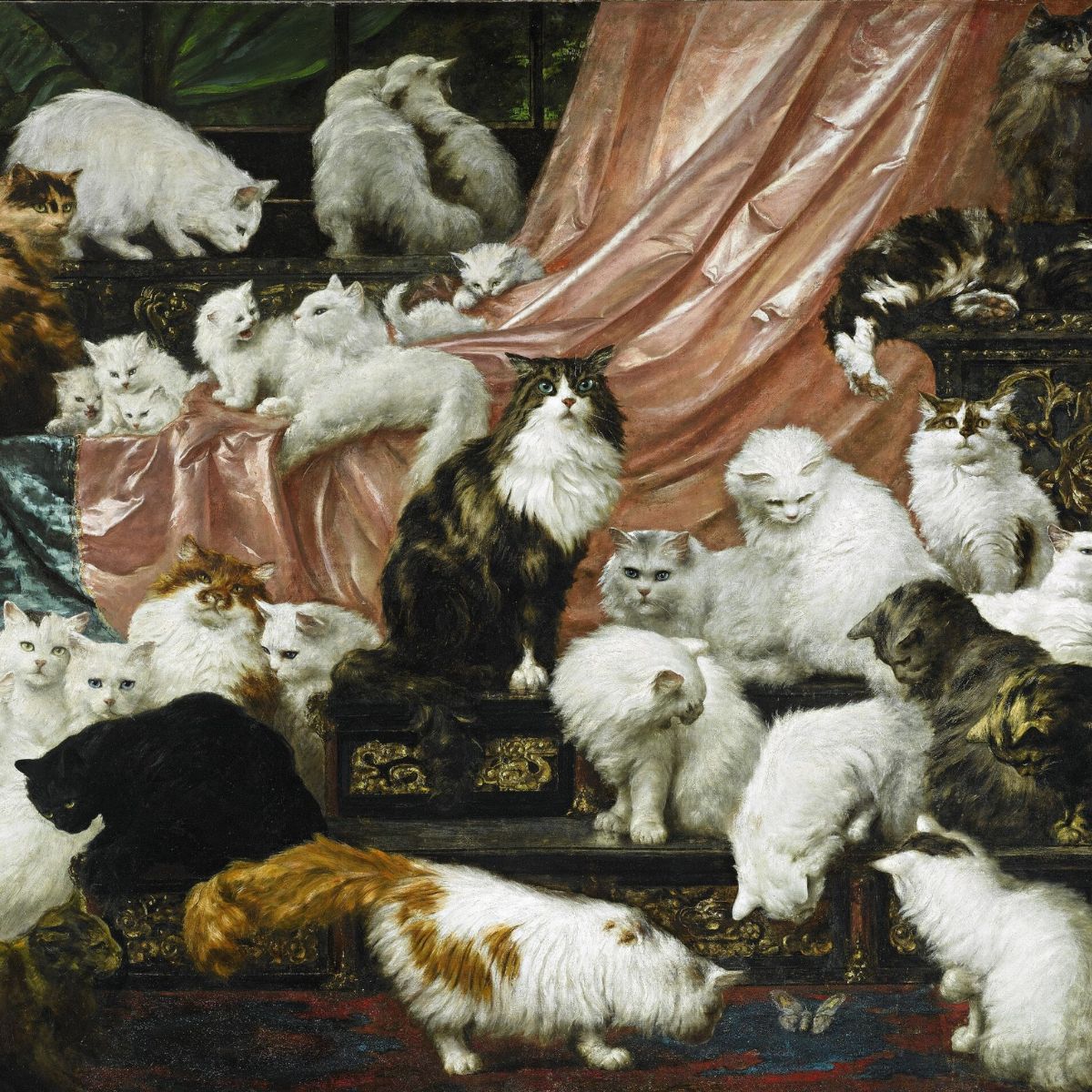 القط والفن حضور يتجاوز الرمزية