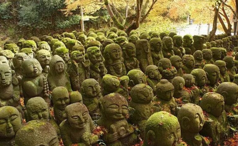 تلاميذ بوذا