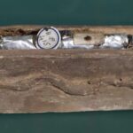 الفن المسموم