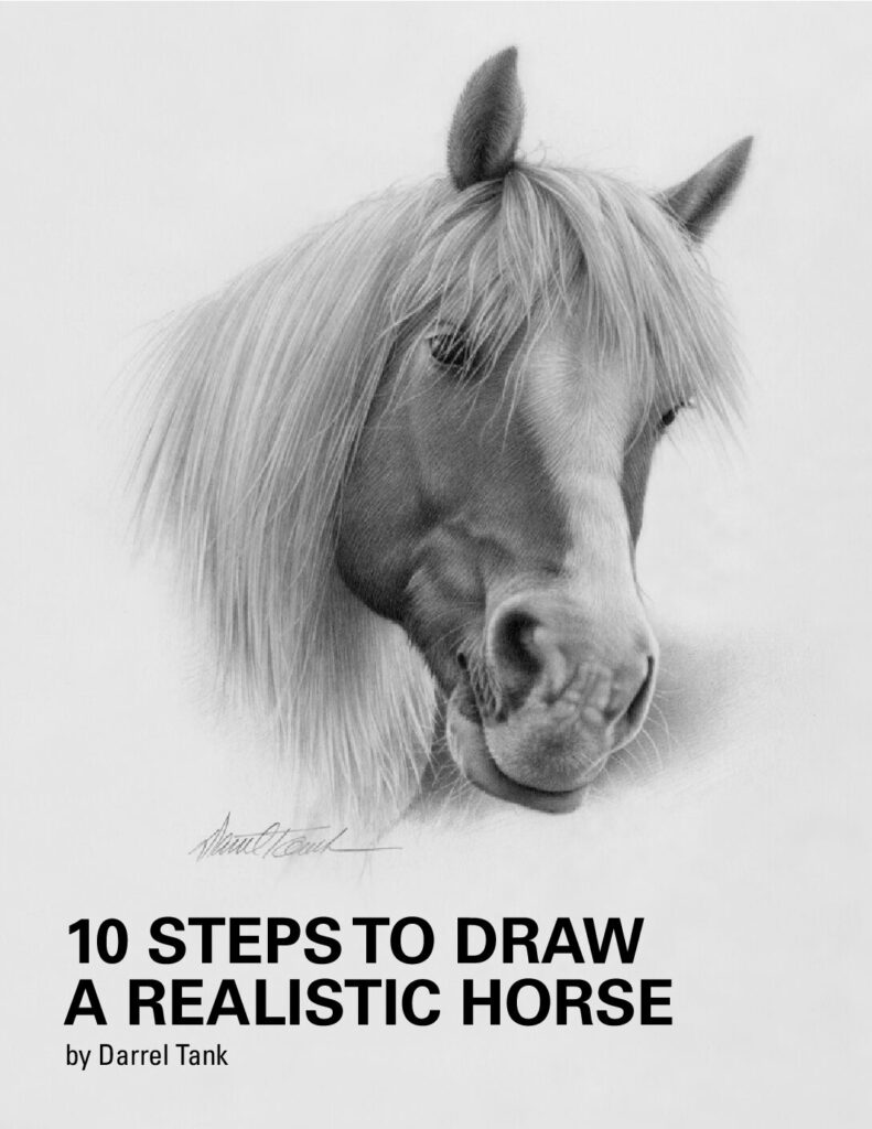 thumbnail of 10-Steps-to-Draw-a-Realistic-Horse-Darrel-Tank-WeLib.org-