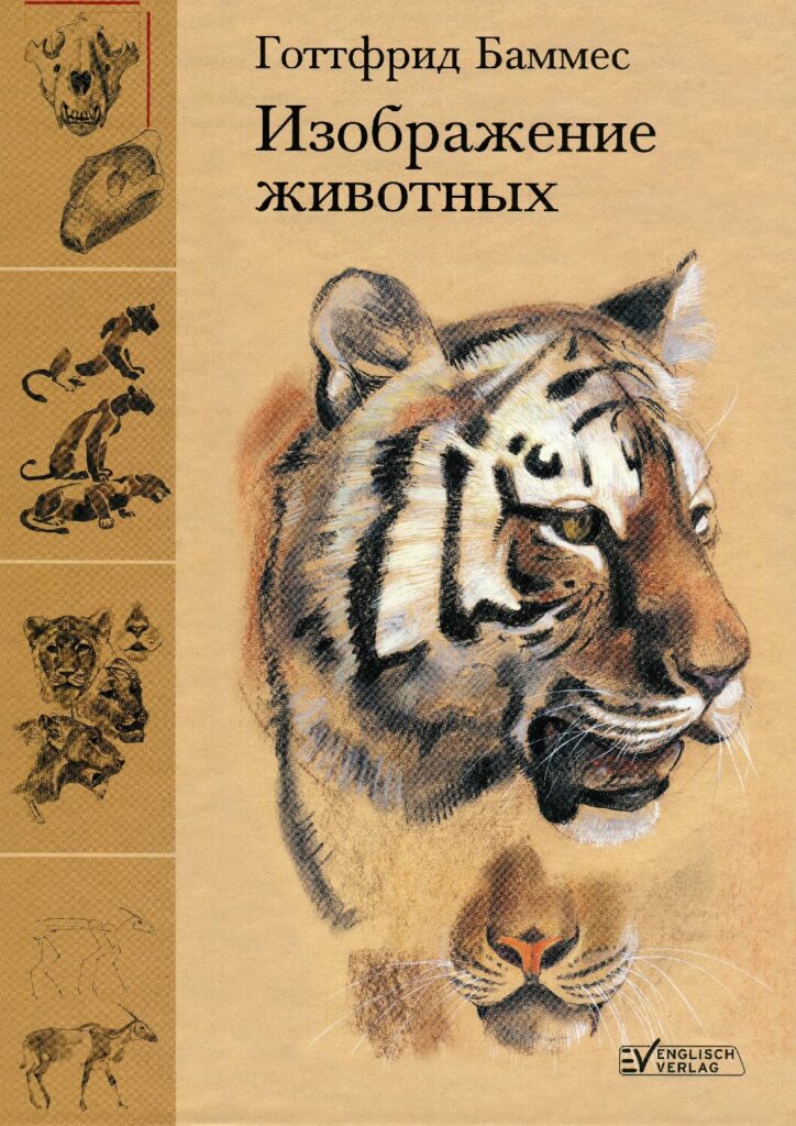 thumbnail of Баммес Г. – Изображение животных